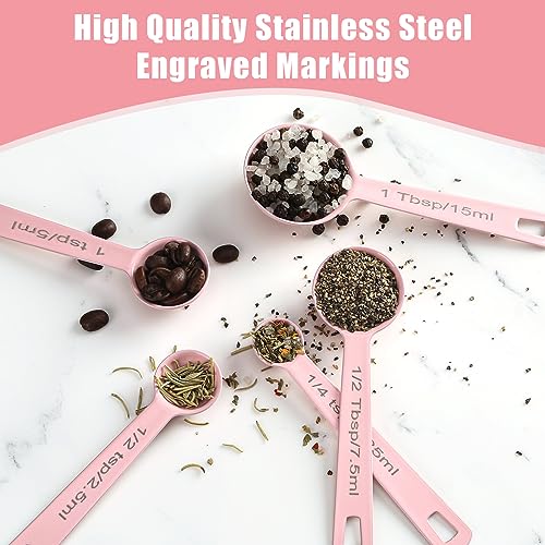 Stainless Steel Measuring Spoons Set of 5 (Pink)