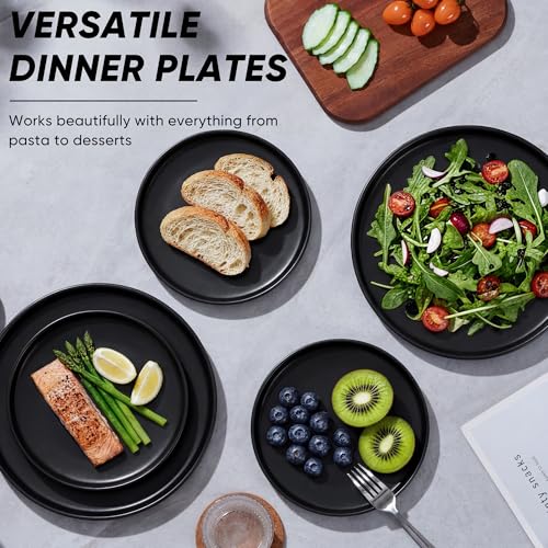 Dinner Plates Set of 6 (Matte Black / 10.5'')