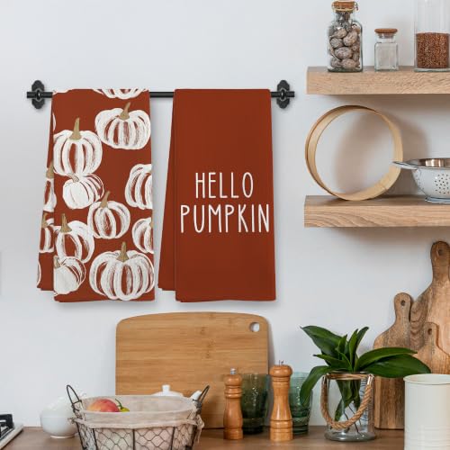 Fall Hello Pumpkin Rust Kitchen Towels and Dishcloths Sets of 2 (Rustic Pumpkin)