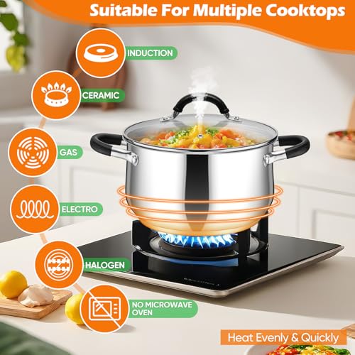 6 Quart Stainless Steel Stock Pot (6 Quarts)