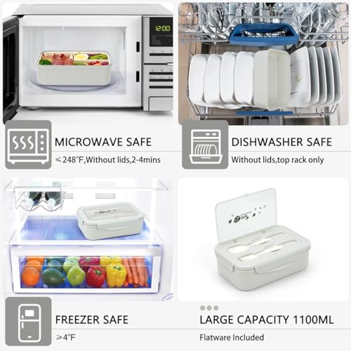 Bento Boxes for Adults (White)