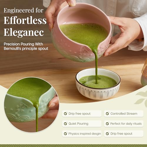 Matcha Whisk Set 9pcs (Gradient)