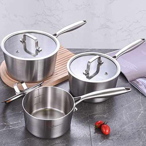 Tri Ply Stainless Steel 2.5 QT Saucepan with Lid