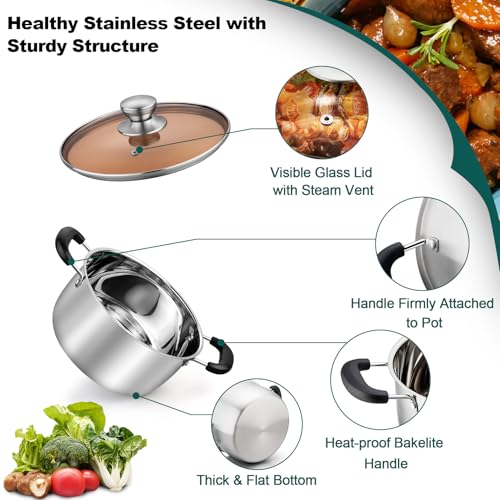 3 Quart Stock Pot (3 Quarts)
