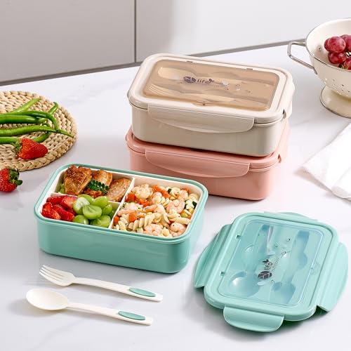 3 Pack Bento Boxes for Adults (Bento Boxes)