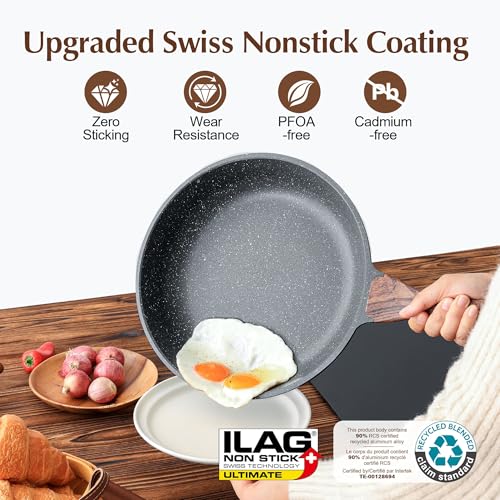 Nonstick Frying Pan Skillet (12 Inch / Gray)