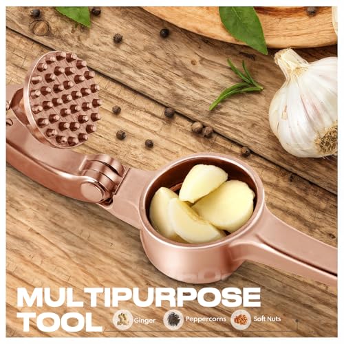 Kitchen Garlic Press (Copper)