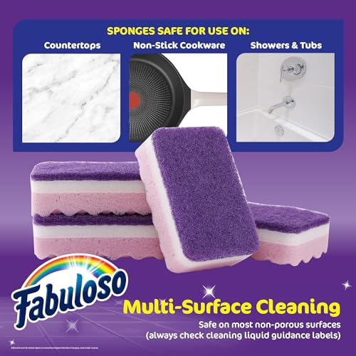 Scratch Free Kitchen Dish Sponges (Purple / 4 Count (Pack of 1))