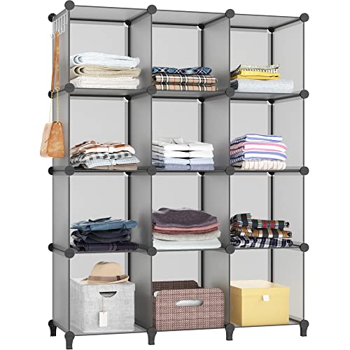 Closet Organizers and Storage (Grey)