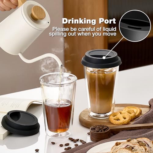 2 Packs Double Walled Glass Coffee Mugs with Silicone Lids (Double Wall Glass)