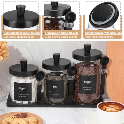 3 Pcs Glass Coffee Container Set (13.5,20,25 oz)