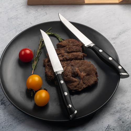 6 Piece Steak Knives Set with Block (Black / 6-Piece with Block)