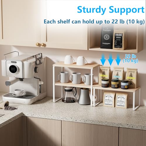 Kitchen Counter Organizer (Natural Beige / Medium)