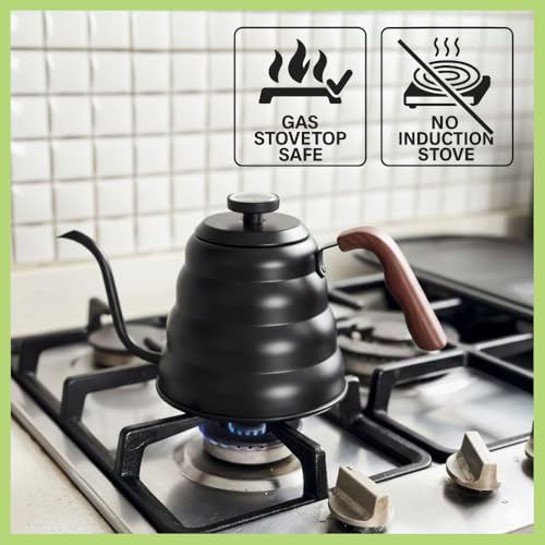Gooseneck Kettle (Black)