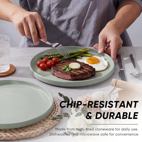Dinner Plates Set of 6 (Mist Green / 10.5'')