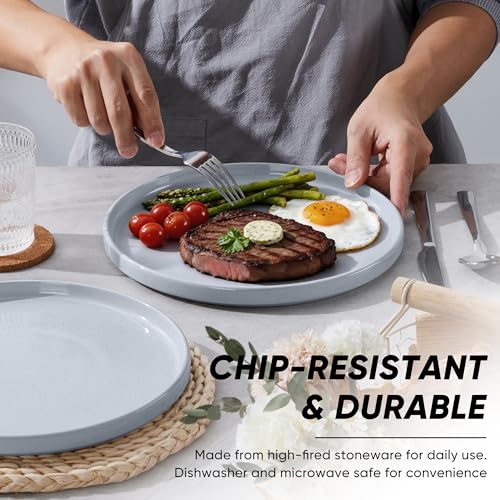 Dinner Plates Set of 6 (Haze Gray / 10.5'')