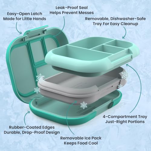Chill Kids 4 Compartment Bento Box Leakproof Lunch Box (Aqua)