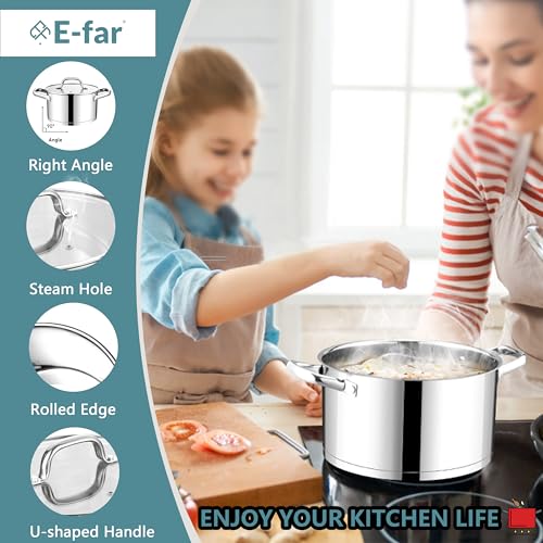4 Quart Stock Pot with Lid (4 Quarts)