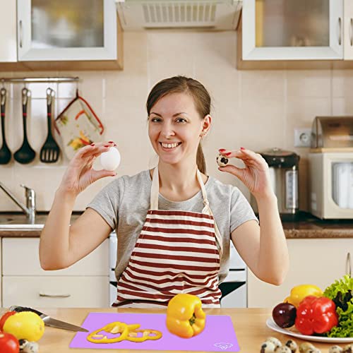 Flexible Plastic Cutting Board Set of 5 Gradient Color (Purple)
