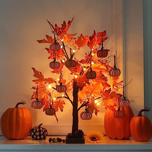 Fall Decorations for Home (Orang)