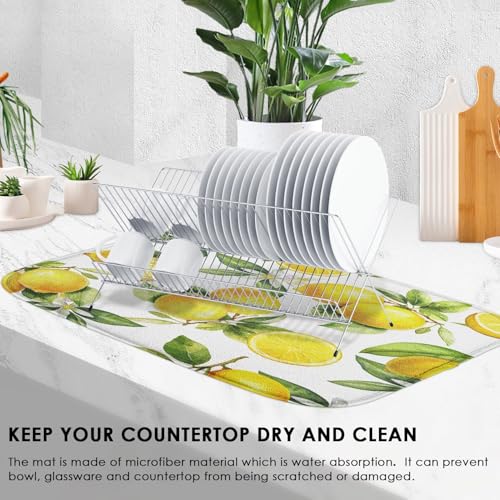 Absorbent Dish Drying Mat for Kitchen Counter (18" x 24" / Lemon 1)