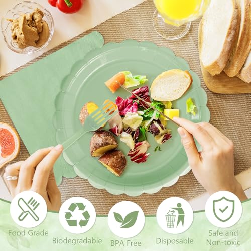 Sage Green Paper Plates and Napkins (Sage Green 75 Plates Set / 7-inch Set)