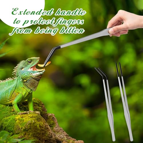 2 Pcs Extra Long Stainless Steel Reptile Feeding Tongs with Rubber Tip 15 Inch Bearded Dragon Aquarium Straight and Curved Long Tweezer Terrarium Feeder Tool for Tank (Silver / 15 Inch)