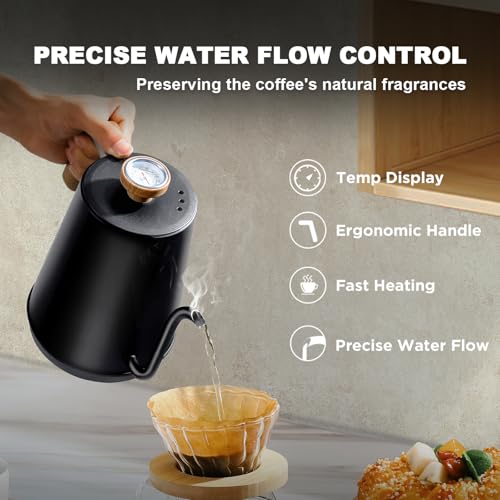 Electric Gooseneck Kettle with Thermometer (BLACK)