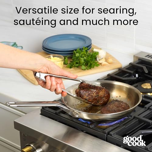 Stainless Steel Fry Pan 10 (10-Inch)