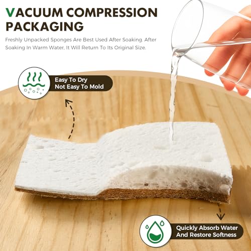 12 Pack Natural Biodegradable Kitchen Non Scratch Sponges