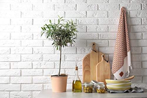 Gold CASE Turkish Hand Towels for Bathroom & Kitchen (Brown / 20x40"-Helen)