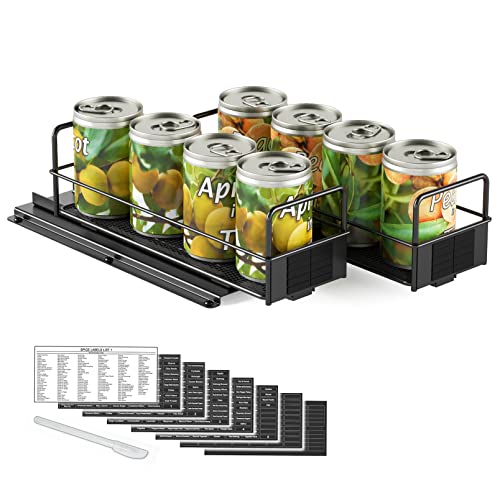 Pull Out Spice Rack Organizer for Cabinet (Two 3"W Drawers, 1-Tier)
