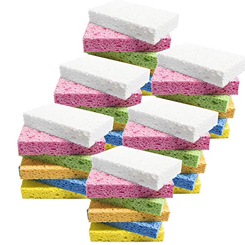 36 Pack Colorful Cellulose Sponges Non (Multicolor / 36)