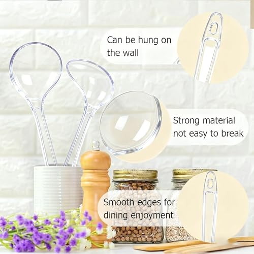 Large Plastic Serving Spoons (Clear)