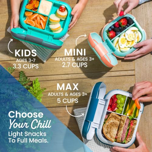 Chill Kids 4 Compartment Bento Box Leakproof Lunch Box (Confetti Edition - Truly Teal)