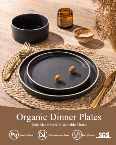 Ceramic Dinner Plates Set of 6 (Dusted White-Off White Rim / 10.25Inch-6pcs)