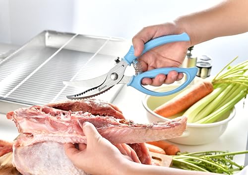 Heavy Duty Poultry Shears (Aqua Sky)