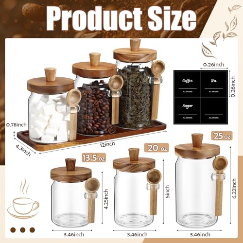 3 Pcs Glass Coffee Container Set (13.5,20,25 oz)