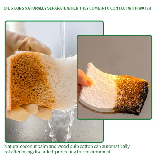 Sponges Kitchen Natural Dish Sponge Plant (Pack of 16)