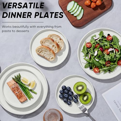 7.9 Inch Ceramic Dinner Plates (Speckled White / 7.9'')