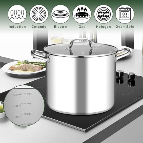 16 Quart Stock Pot with Lid (16 Quarts)