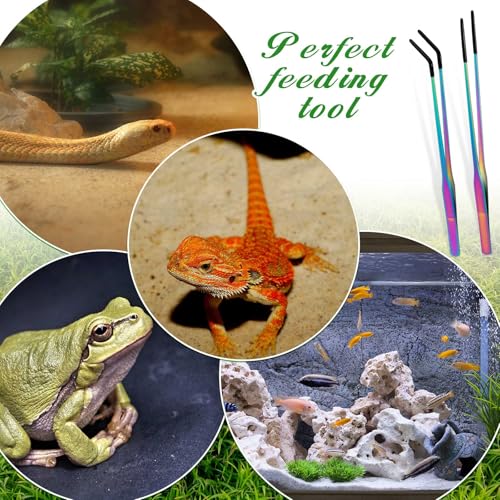2 Pcs Extra Long Stainless Steel Reptile Feeding Tongs with Rubber Tip 10 Inch (Colorful / 10 Inch, 10.5 Inch)