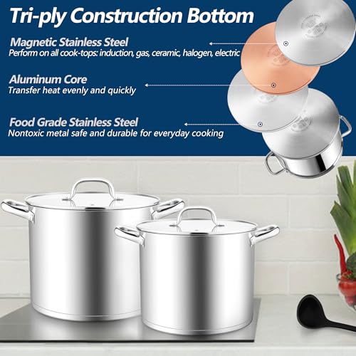 10 Quart Pot Stainless Steel Stock Cooking Pot with Glass Lid for Soup Canning Stewing Simmering (10 Quarts)
