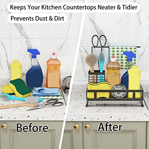 Kitchen Sink Organizer with Brush Rack