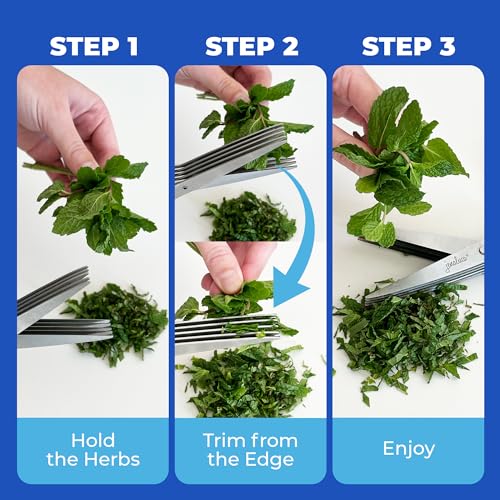 5 Blade Herb Scissors (Green)