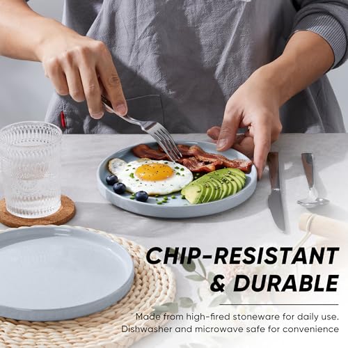 7.9 Inch Ceramic Dinner Plates (Haze Gray / 7.9'')