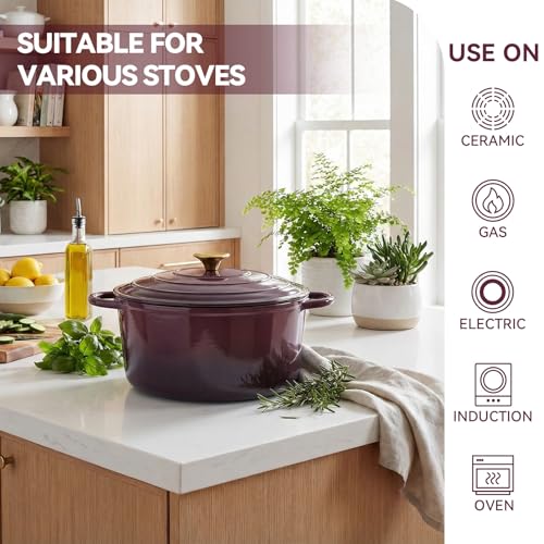 6 Quart Enameled Dutch Oven Pot with Lid (6 QT / Fig)