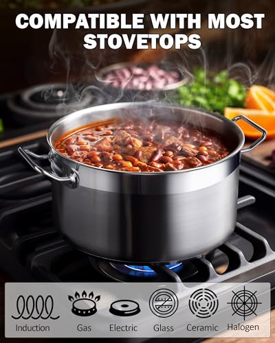 Professional 6 Quart Stock Pot with Lid (6 Quarts / Silver)