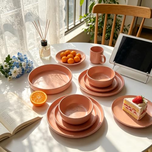 HomeVSS 20 Piece Dinnerware Set (Service for 4 - 20pc Set / Matte Rose)
