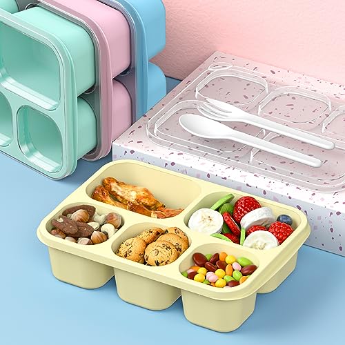 Bento Box Adult Lunch Box (PP(Blue/Pink/Green/Yellow))